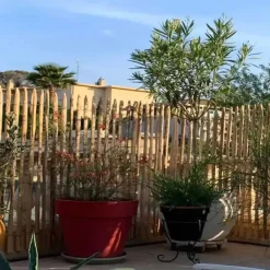 Ganivelle en Châtaignier Certifié PEFC - L5m x H1m - Espacement 6-7cm* Best