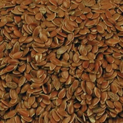 Graines de lin VADIGRAN dépoussiérées 4kg* Best