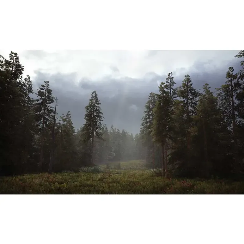 Hunting Simulator 2 pour PC* Sale