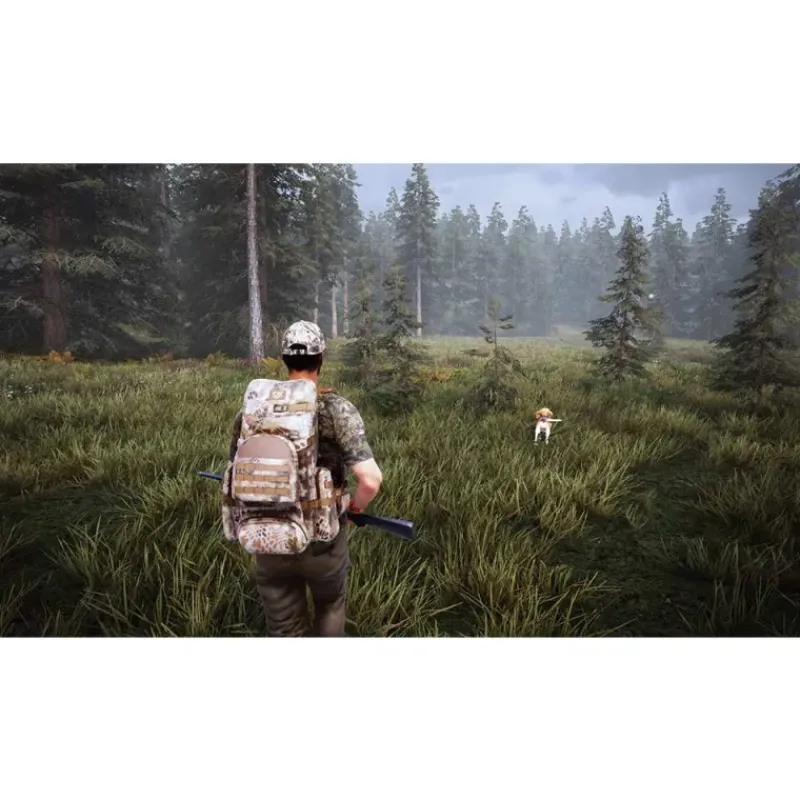 Hunting Simulator 2 pour PC* Sale