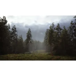 Hunting Simulator 2 pour Xbox One* Sale