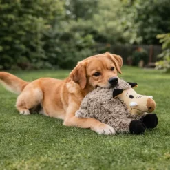 Jeu peluche pour chien Sanglier 25 cm* Sale