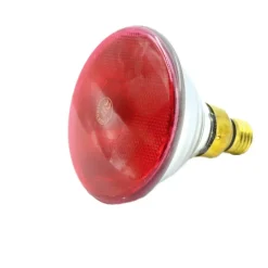 Kit Cage éleveuse poussins et cailles 100 x 60 x 50 cm* Best