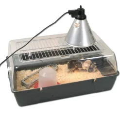 Kit de démarrage pour élevage de poussins*