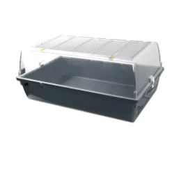 Kit de démarrage pour élevage de poussins*