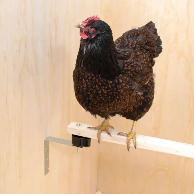 Kit perchoir anti-poux rouge*Olba