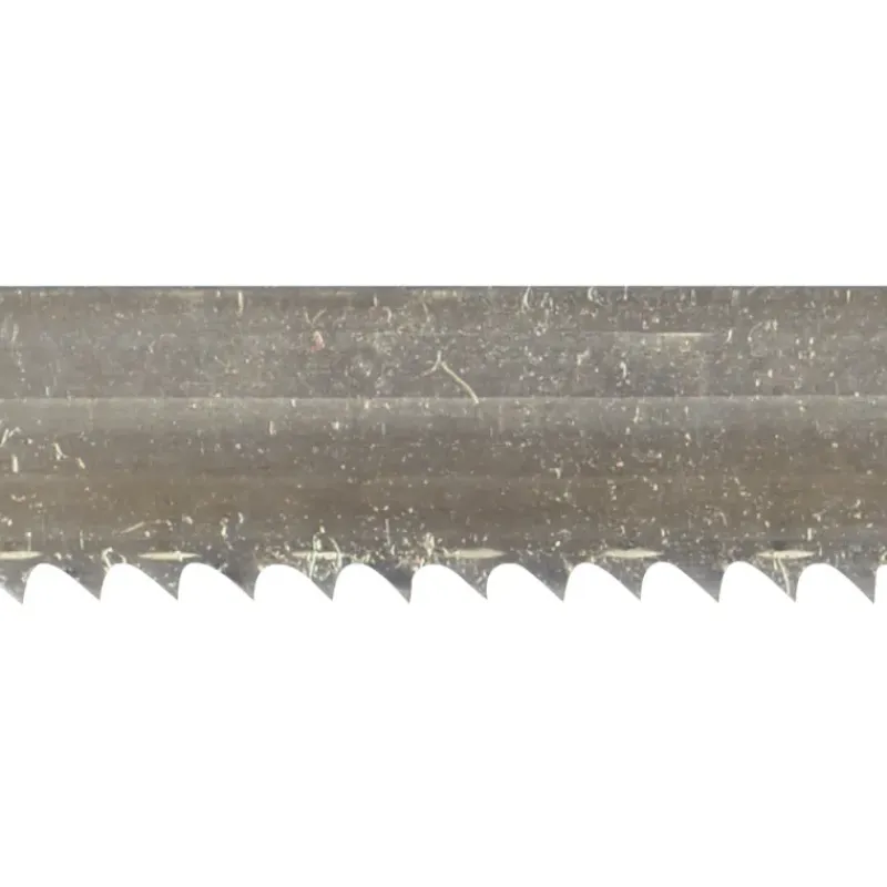 Lame pour scie de boucher professionnelle longueur 50 cm*FISCHER-BARGOIN Discount