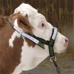 Licol pour bovins et taurillons en cuir* Hot