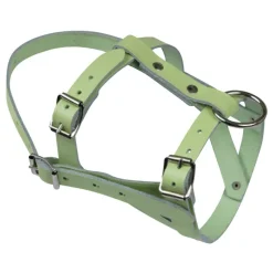 Licol pour mouton ou bélier en cuir*Kerbl New