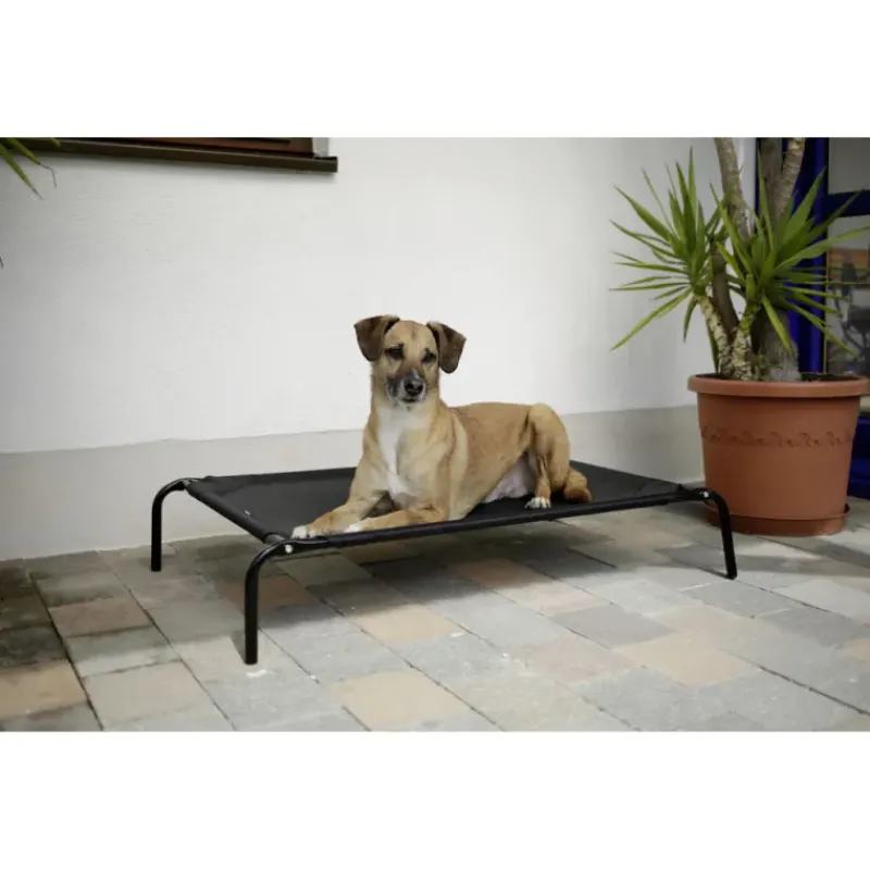 Lit de camp pour chien 130 X 80 cm* Outlet