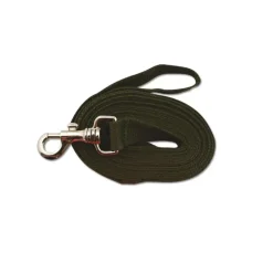 Longe pour chien 5m orange* Online