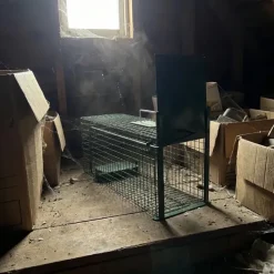 Lot de 5 Boîtes à fauves 1 entrée pour rats 22 x 24 x 61 cm* Discount