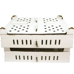 Lot de 25 boîtes transport poussins carton empilables 46 X 60 X 12 cm*Cimuka Hot