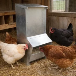 Lot de 10 Mangeoires à trémie métal galvanisée 7kg* Clearance