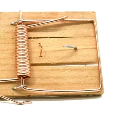 Lot de 10 Tapettes à rat en bois 170 X 75 mm* Best