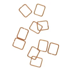 Lot de 10 tentes pour piège à taupe Putange* New