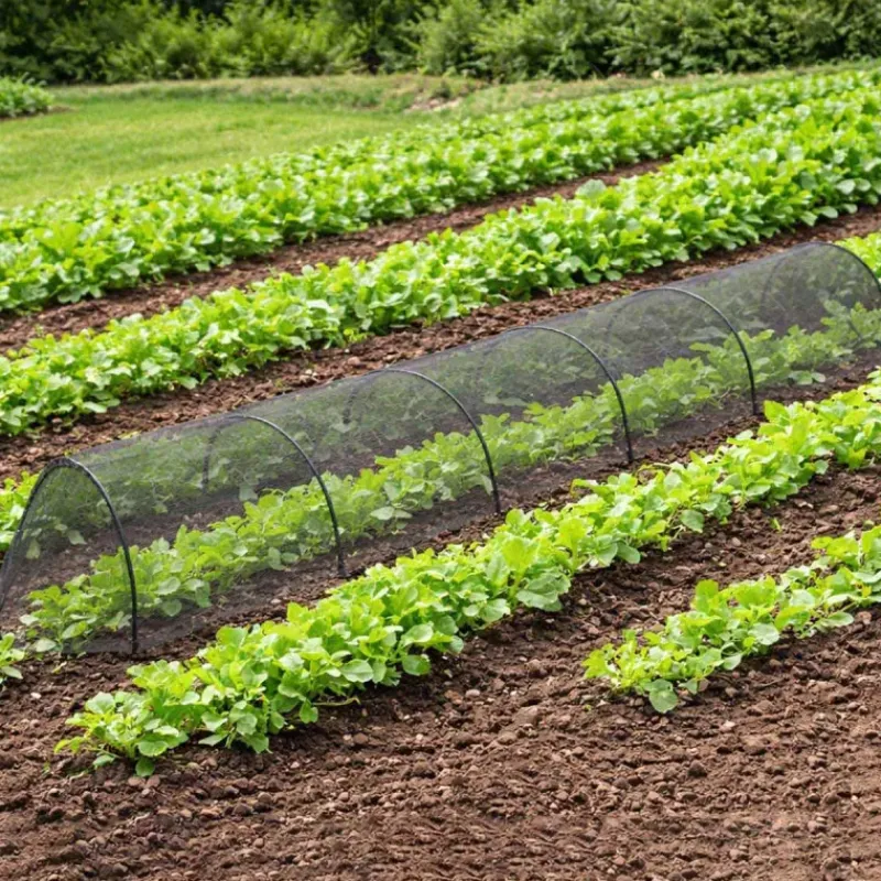 Lot de 4 Tunnels de protection pour potager maillé - 3 m* Discount