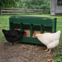 Mangeoire 20 kg 4 compartiments thermolaqué vert 46 x 17 x 40 cm* Clearance