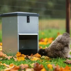 Mangeoire à trémie galvanisée 5 kg pour volailles et canards* Hot