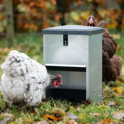 Mangeoire à trémie galvanisée 5 kg pour volailles et canards* Hot