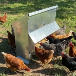 Mangeoire à trémie galvanisée 20Kg 54 x 27 x 51 cm* Discount