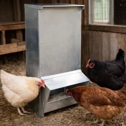 Mangeoire à trémie galvanisée 15 kg 22 x 22 x 57 cm* New