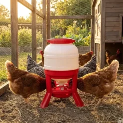 Mangeoire anti-gaspillage sur pieds 23 kg – Grande capacité*GAUN Best