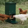 Mangeoire anti-nuisible 12 kg thermolaquée vert* New