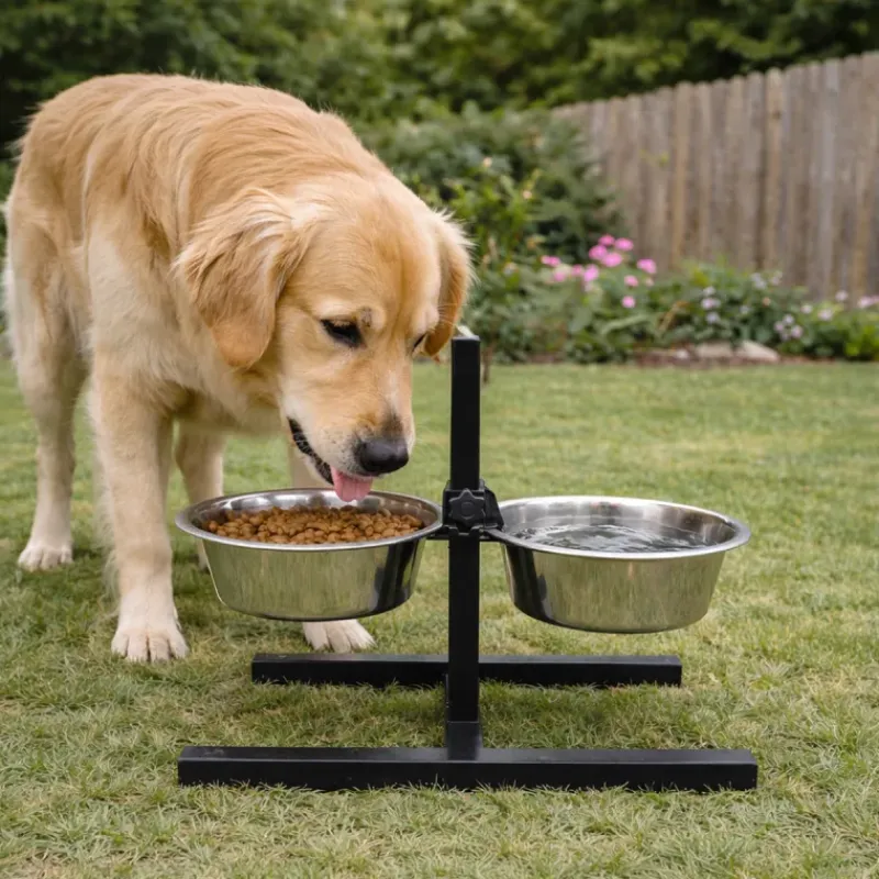 Mangeoire chien sur pied réglable + 2 gamelles Ø de 19 cm*