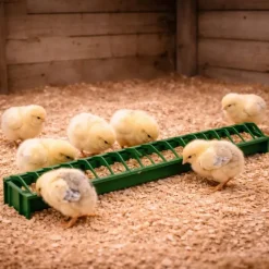 Mangeoire linéaire poussin plastique à barrettes 50 cm*River Systems Clearance