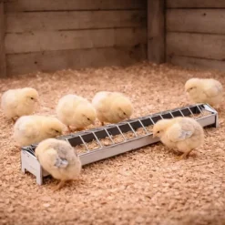Mangeoire métal poussins 50 cm à barrettes avec couvercle*