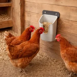 Mangeoire murale volailles V Feedr 700 g*Olba Outlet