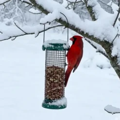 Mangeoire oiseaux métal Ø9x20cm distributeur graines jardin* New