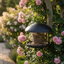 Mangeoire oiseaux transparente 19x17cm avec corde suspension* Online