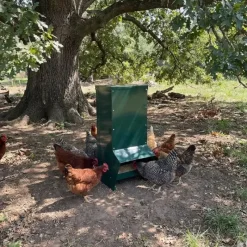 Mangeoire trémie galvanisée verte anti gaspillage 15 kg* Outlet