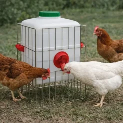 Mangeoires grande capacité avec réservoir 15 kg*GAUN Hot