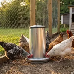 Mangeoires volaille à trémie métal 5kg en lot de 10* Clearance