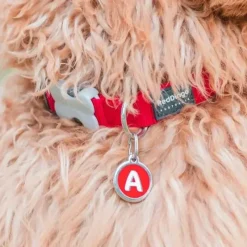 Médaille alphabétique gravable pour chien - Acier inoxydable Ø 3 cm*RedDingo