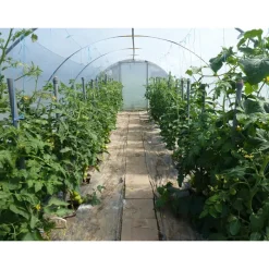 Mini serre de jardin avec aération Largeur 3.70 m*Les Serres Tonneau Online