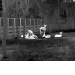 Monoculaire Lynx vision thermique 15,8 x 6,1 x 5,7cm IP67*HIKMICRO