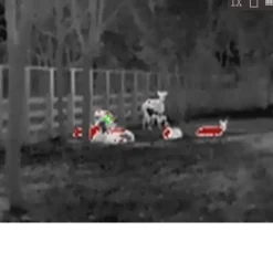 Monoculaire Lynx vision thermique 15,8 x 6,1 x 5,7cm IP67*HIKMICRO