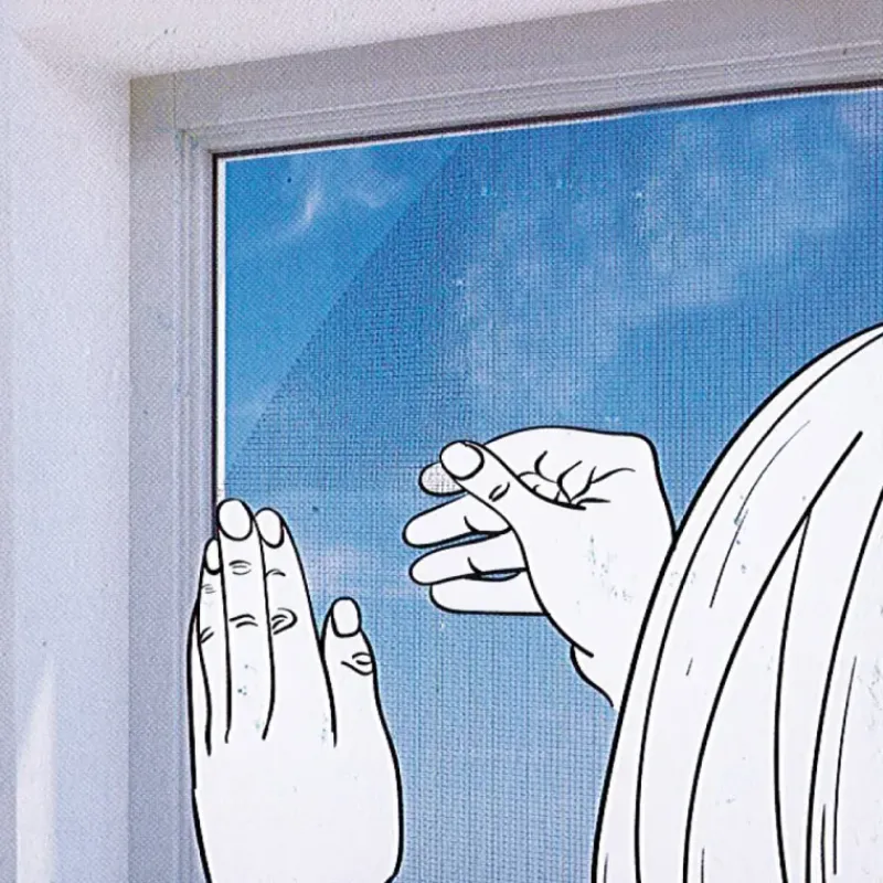 Moustiquaire pour fenêtre - pose facile* New