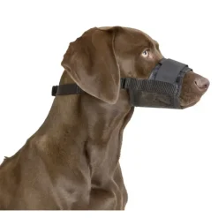 Muselière pour chien en nylon* Online
