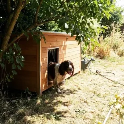 Niche isolée pour chien en bois – Extérieur été/hiver – 160 x 75 x 75 cm* Hot