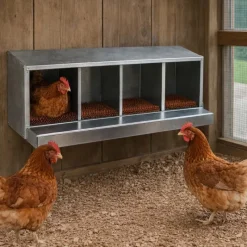 Nid pondoir en tôle galvanisée 4 cases* New