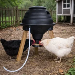 Nourrisseur empereur plastique mat 70 L* Online