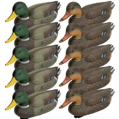 Pack 5 colverts mâles et 5 femelles* Best