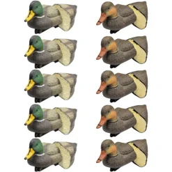 Pack 5 colverts mâles et 5 femelles moussés* Clearance