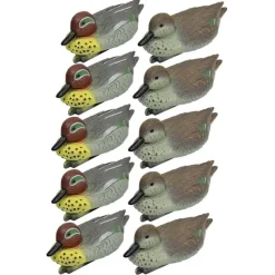 Pack 5 sarcelles mâles et 5 femelles* Clearance