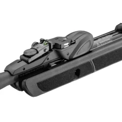 Pack carabine Roadster IGT Gen2 10x 4.5mm 19,9J L131cm + 4x32*GAMO Discount